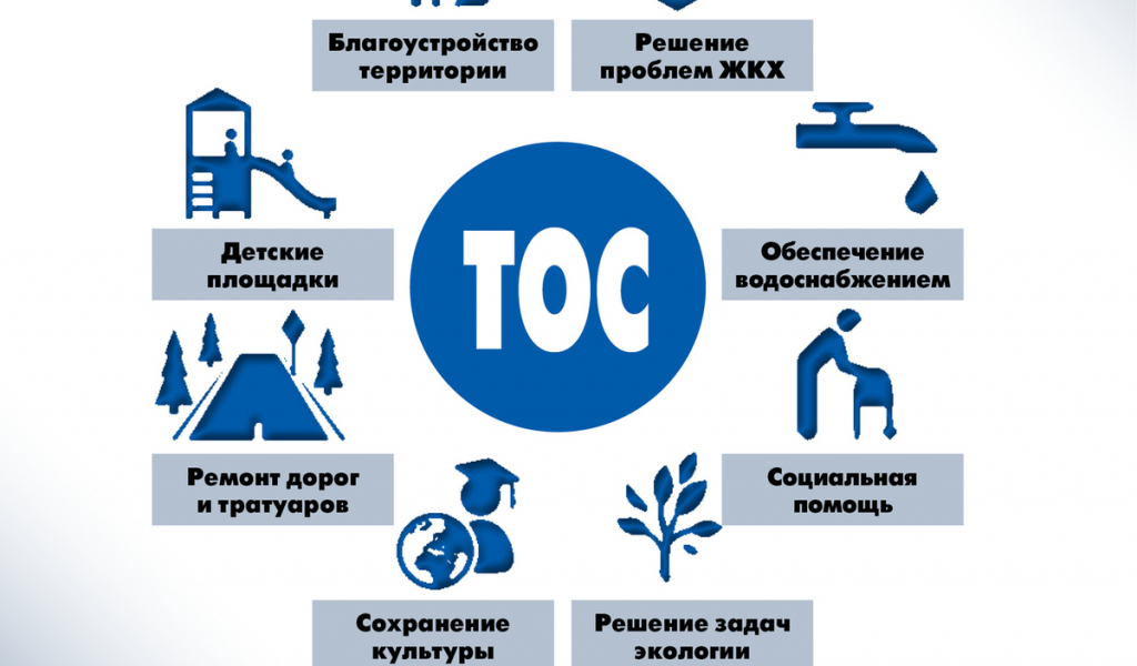 Список проектов ТОС, которые прошли краевой конкурс и будут реализованы в 2025 году на территории сельского поселения «Село Некрасовка»
