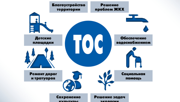 Список проектов ТОС, которые прошли краевой конкурс и будут реализованы в 2025 году на территории сельского поселения «Село Некрасовка»