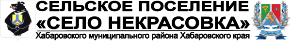Сельское поселение "Село Некрасовка"